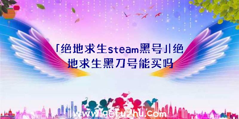 「绝地求生steam黑号」|绝地求生黑刀号能买吗